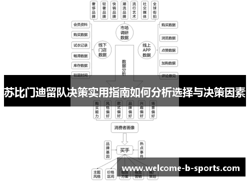 苏比门迪留队决策实用指南如何分析选择与决策因素