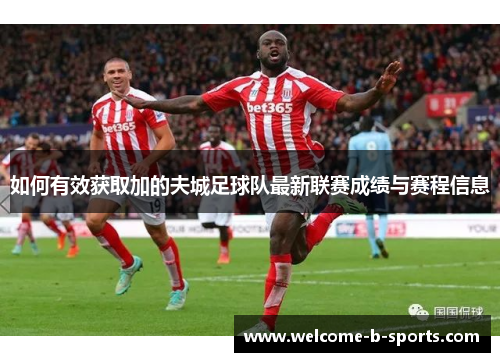 如何有效获取加的夫城足球队最新联赛成绩与赛程信息