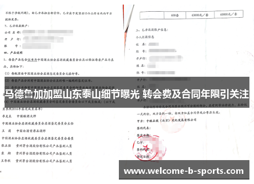 马德鲁加加盟山东泰山细节曝光 转会费及合同年限引关注 马德鲁加加盟山东泰山细节曝光 转会费及合同年限引关注
