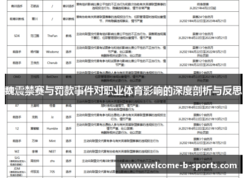 魏震禁赛与罚款事件对职业体育影响的深度剖析与反思
